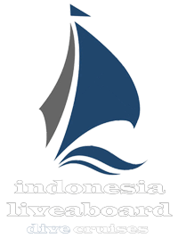 indonesia liveaboard dive cruises